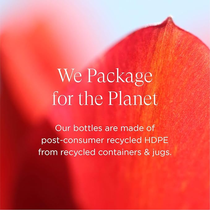 Intelligent Nutrients OneBody Hand Balm & Lip Delivery Nutrition Holiday Set - Help Soothe Dry Hands, Cuticles & Lips (2-Piece Set)